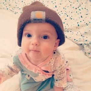 Meet your Posher, Joe